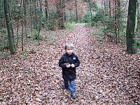 07.11.2010 17:12:20
Hofstätter See
Garchinger Umland
Garchinger.de