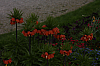01.05.2013 17:39:37
Oberschleißheim
Garchinger Umland
Garchinger.de