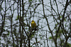 01.05.2013 18:53:33
Oberschleißheim
Garchinger Umland
Garchinger.de