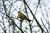 01.05.2013 18:53:44
Oberschleißheim
Garchinger Umland
Garchinger.de