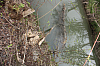 01.05.2013 19:28:07
Oberschleißheim
Garchinger Umland
Garchinger.de