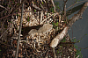 01.05.2013 19:28:23
Oberschleißheim
Garchinger Umland
Garchinger.de