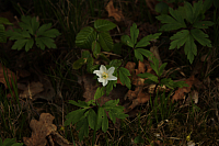 01.05.2013 17:16:12
Oberschleißheim
Garchinger Umland
Garchinger.de