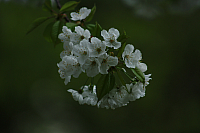 01.05.2013 19:11:19
Oberschleißheim
Garchinger Umland
Garchinger.de