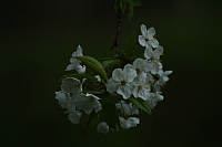 01.05.2013 19:11:43
Oberschleißheim
Garchinger Umland
Garchinger.de