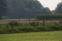 10.09.2014 15:47:20
Der Habichtweg bei Eicherloh
Garchinger Umland
Garchinger.de