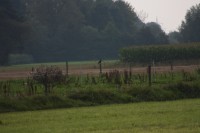 10.09.2014 15:48:18
Der Habichtweg bei Eicherloh
Garchinger Umland
Garchinger.de