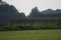 10.09.2014 15:51:10
Der Habichtweg bei Eicherloh
Garchinger Umland
Garchinger.de