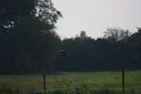 10.09.2014 15:55:05
Der Habichtweg bei Eicherloh
Garchinger Umland
Garchinger.de