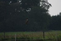 10.09.2014 15:55:05
Der Habichtweg bei Eicherloh
Garchinger Umland
Garchinger.de