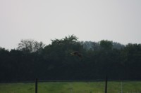 10.09.2014 15:55:06
Der Habichtweg bei Eicherloh
Garchinger Umland
Garchinger.de