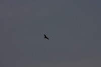 10.09.2014 15:57:13
Der Habichtweg bei Eicherloh
Garchinger Umland
Garchinger.de