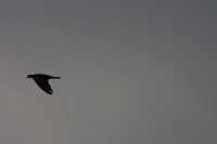 10.09.2014 15:58:35
Der Habichtweg bei Eicherloh
Garchinger Umland
Garchinger.de