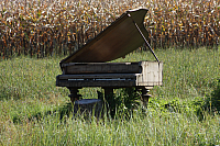 25.09.2016 16:14:39
Tipiplatz/Schrottkirche
Langwied
Garchinger Umland
Garchinger.de