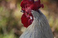 25.09.2016 16:20:15
Tipiplatz/Schrottkirche
Langwied
Garchinger Umland
Garchinger.de