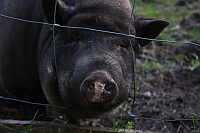 25.09.2016 16:33:04
Tipiplatz/Schrottkirche
Langwied
Garchinger Umland
Garchinger.de