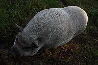 25.09.2016 16:35:26
Tipiplatz/Schrottkirche
Langwied
Garchinger Umland
Garchinger.de