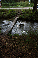 25.09.2016 16:36:53
Tipiplatz/Schrottkirche
Langwied
Garchinger Umland
Garchinger.de
